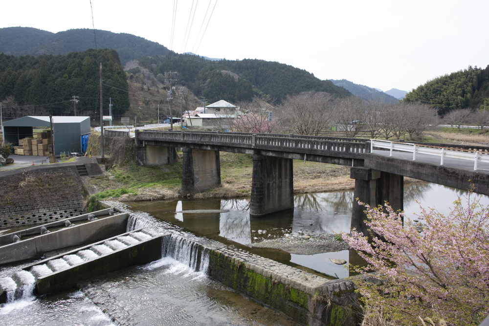 東海自然歩道 静岡バイパスコーストレイルランの写真3