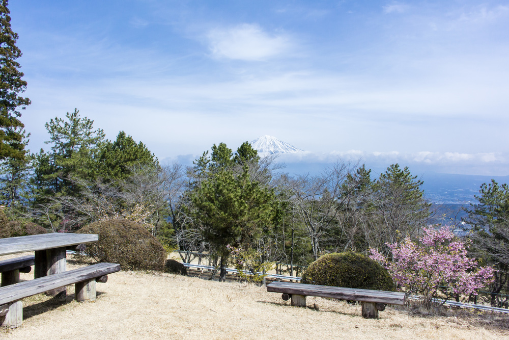 東海自然歩道 静岡バイパスコーストレイルランの写真5