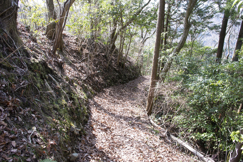 東海自然歩道 静岡バイパスコーストレイルランの写真6