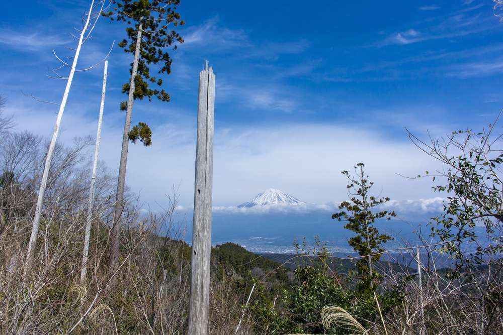 東海自然歩道 静岡バイパスコーストレイルランの写真7