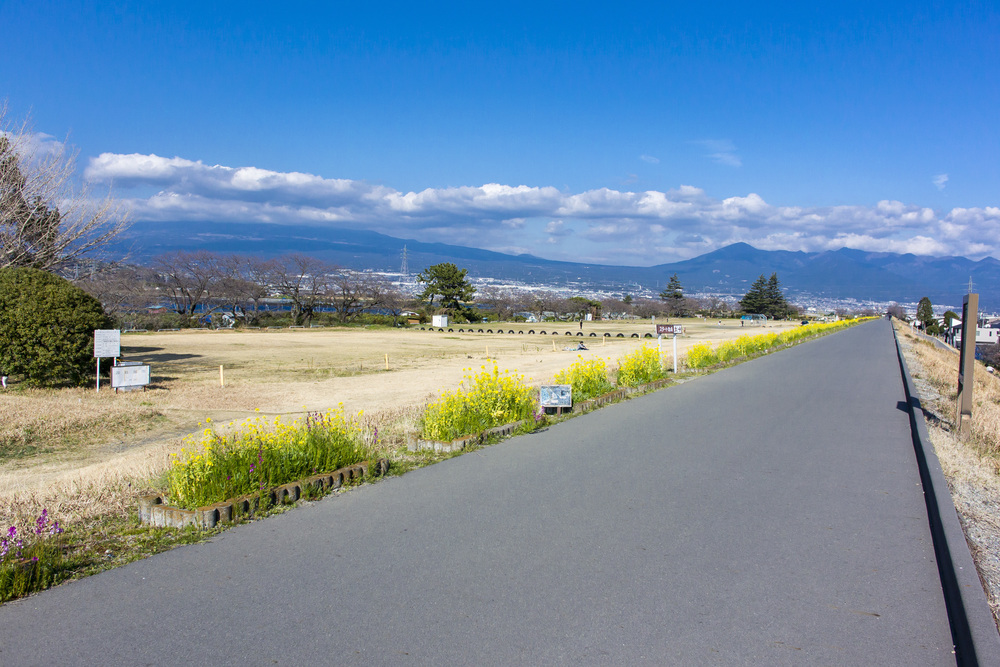 東海自然歩道 静岡バイパスコーストレイルランの写真11
