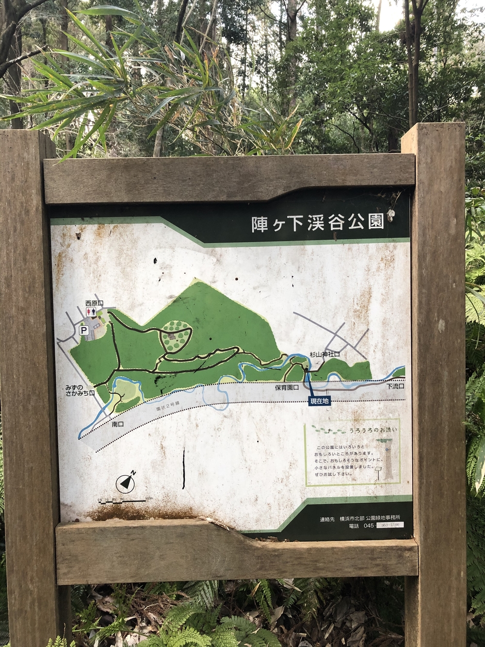 ノンストップ！ズーラシア→ 陣ケ下渓谷→上星川満天の湯の写真3