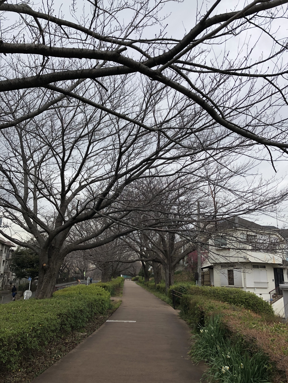 ノンストップ！ズーラシア→ 陣ケ下渓谷→上星川満天の湯の写真5