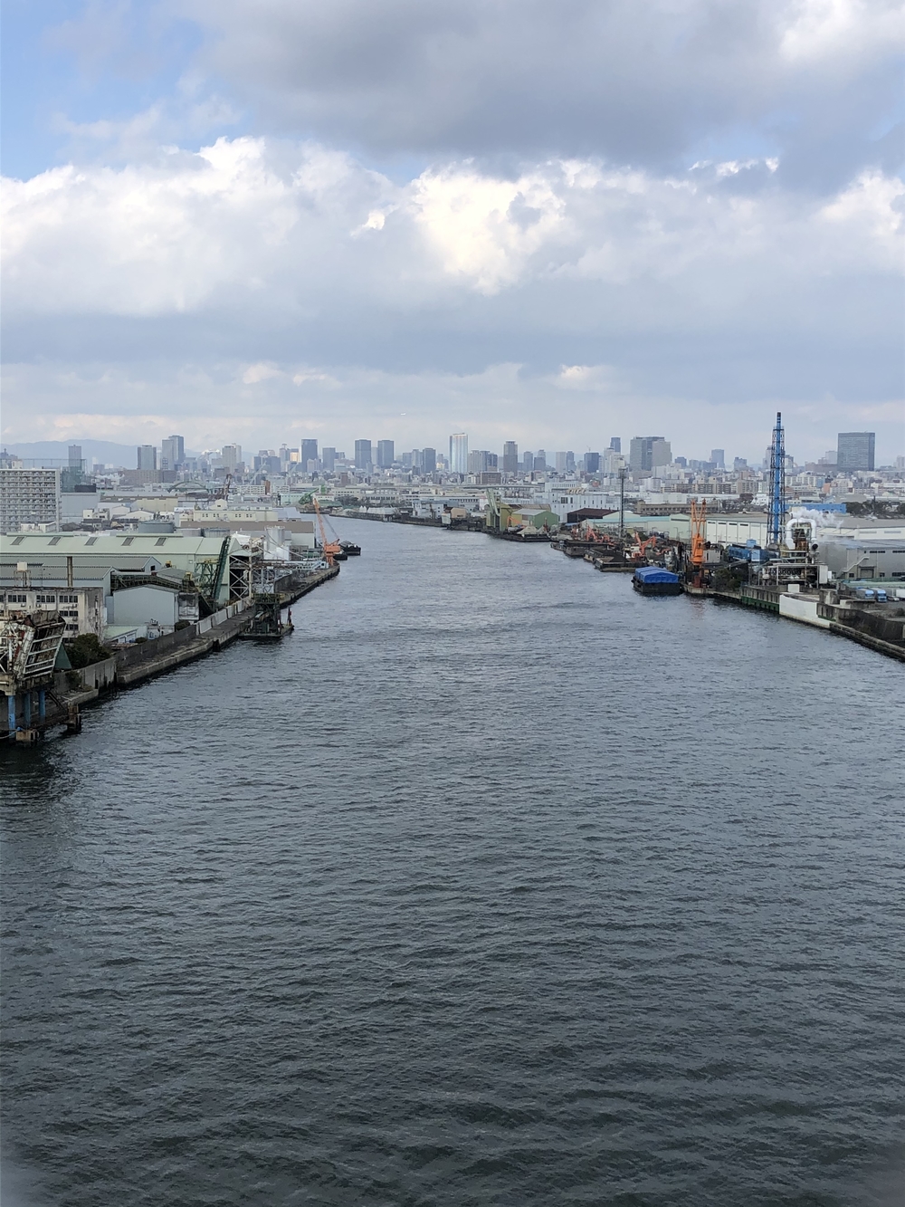 大阪アルプス五座縦走の写真9