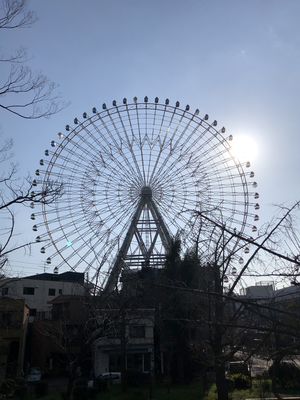 大阪アルプス五座縦走の写真12