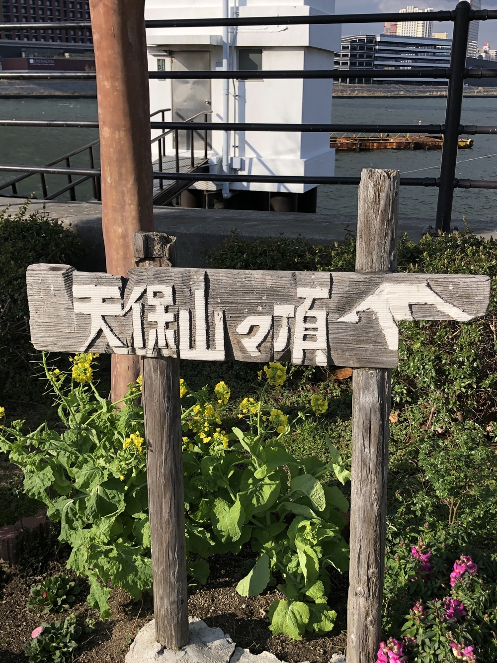 大阪アルプス五座縦走の写真15