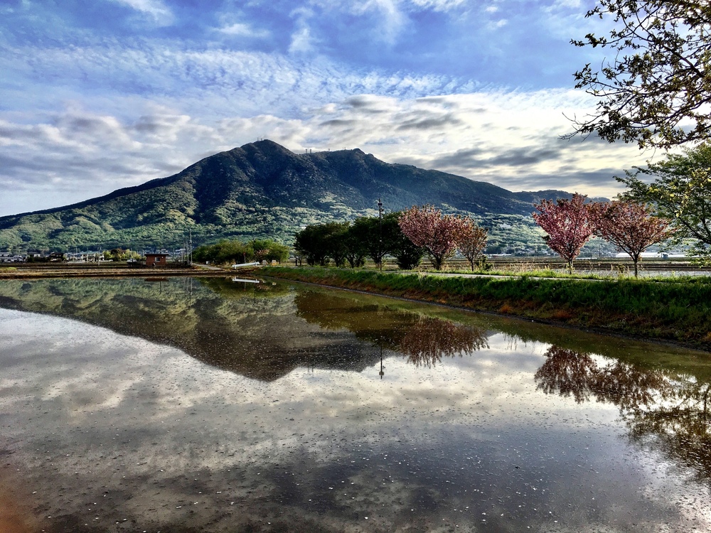 逆さ筑波山＆つくばりんりんロード桜並木ランの写真4