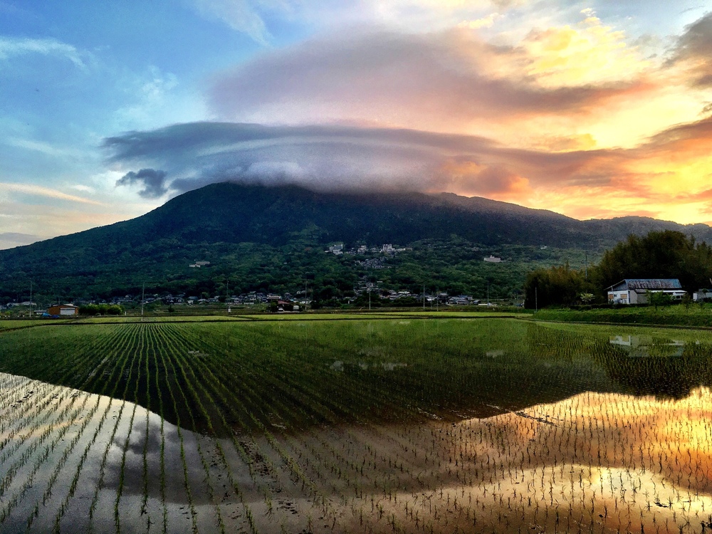 逆さ筑波山＆つくばりんりんロード桜並木ランの写真5