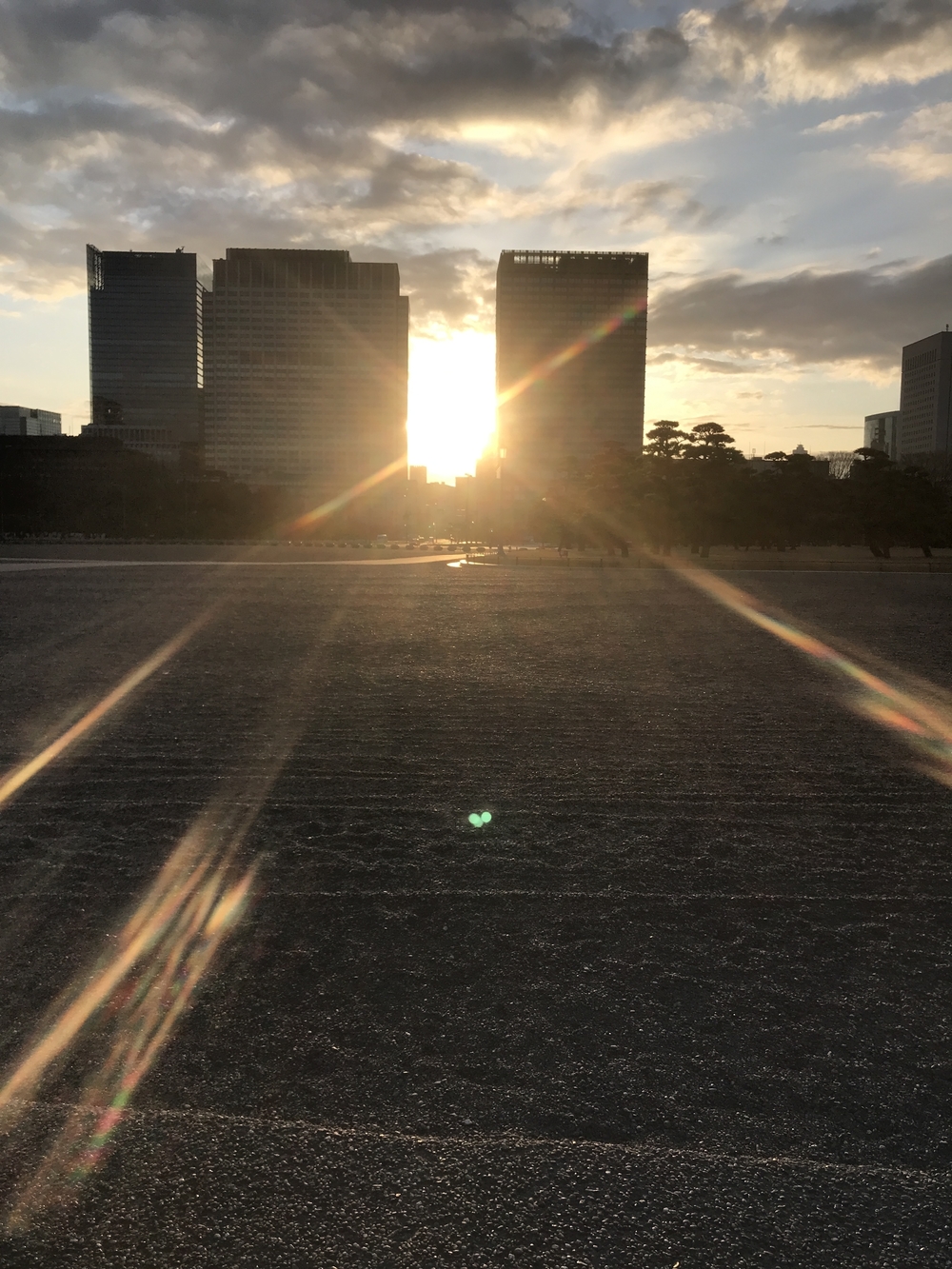 皇居の景色と沢山のランナーの写真3