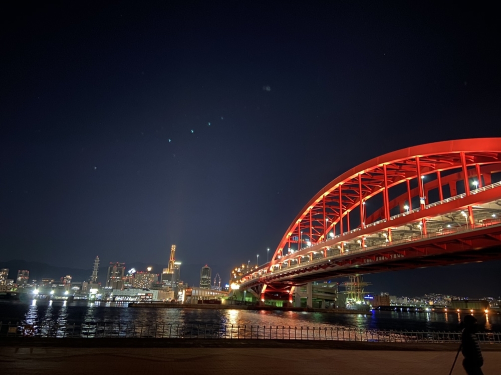 神戸ポートアイ ナイトランの写真7