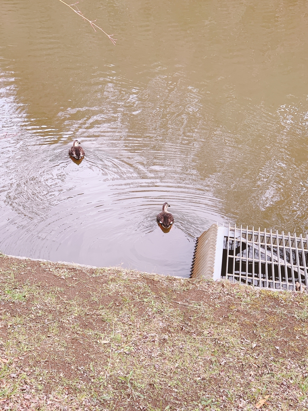 景色のいい山道コースの写真5