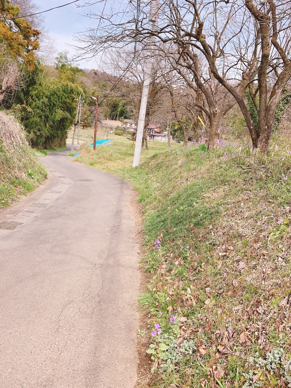 景色のいい山道コースの写真6