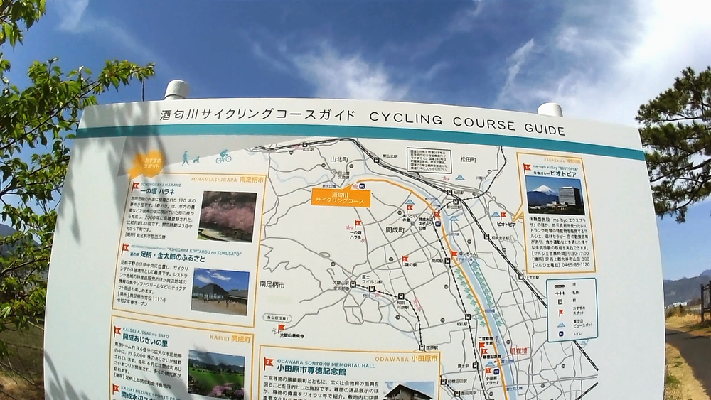 神奈川県、小田原市酒匂川流域を巡るランニングコース１４キロの写真4