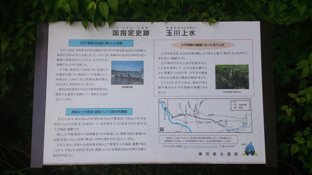 小平中央公園～上水小橋（玉川上水沿い）の写真3