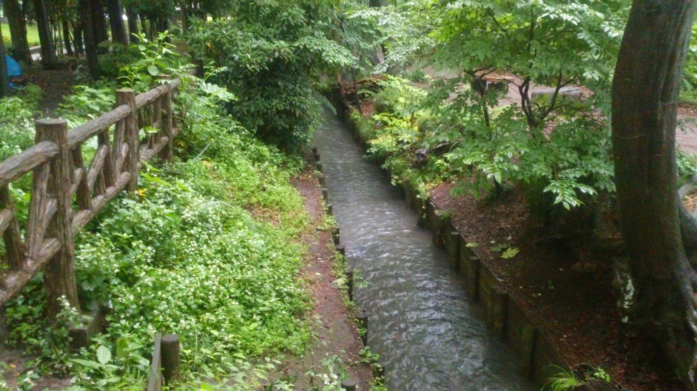 小平中央公園～上水小橋（玉川上水沿い）の写真5