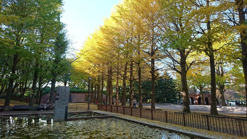 小平中央公園～上水小橋（玉川上水沿い）の写真6