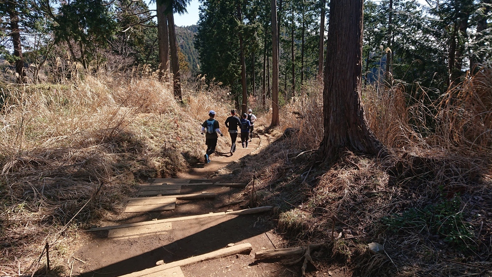 高尾山口～高尾山～城山～小仏峠（往復）の写真3