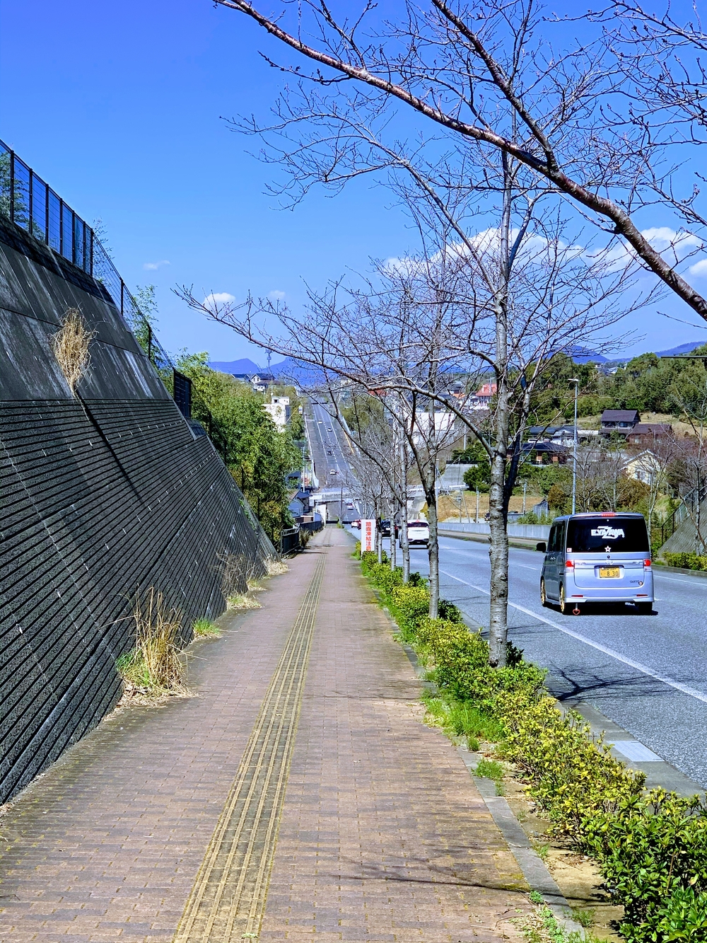大村公園からぐるっとの写真3