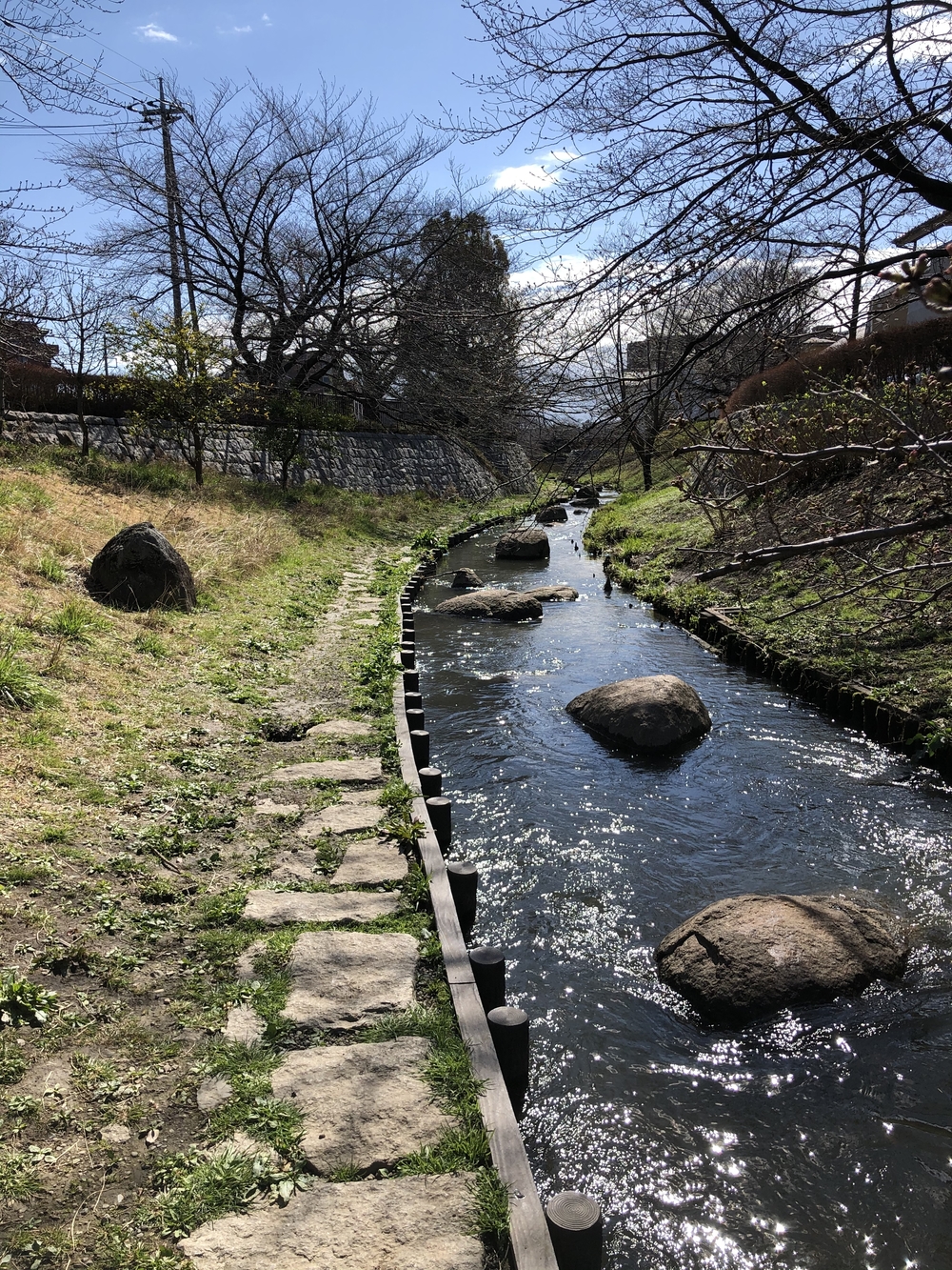 二ヶ領用水沿いまったりラン21キロの写真3