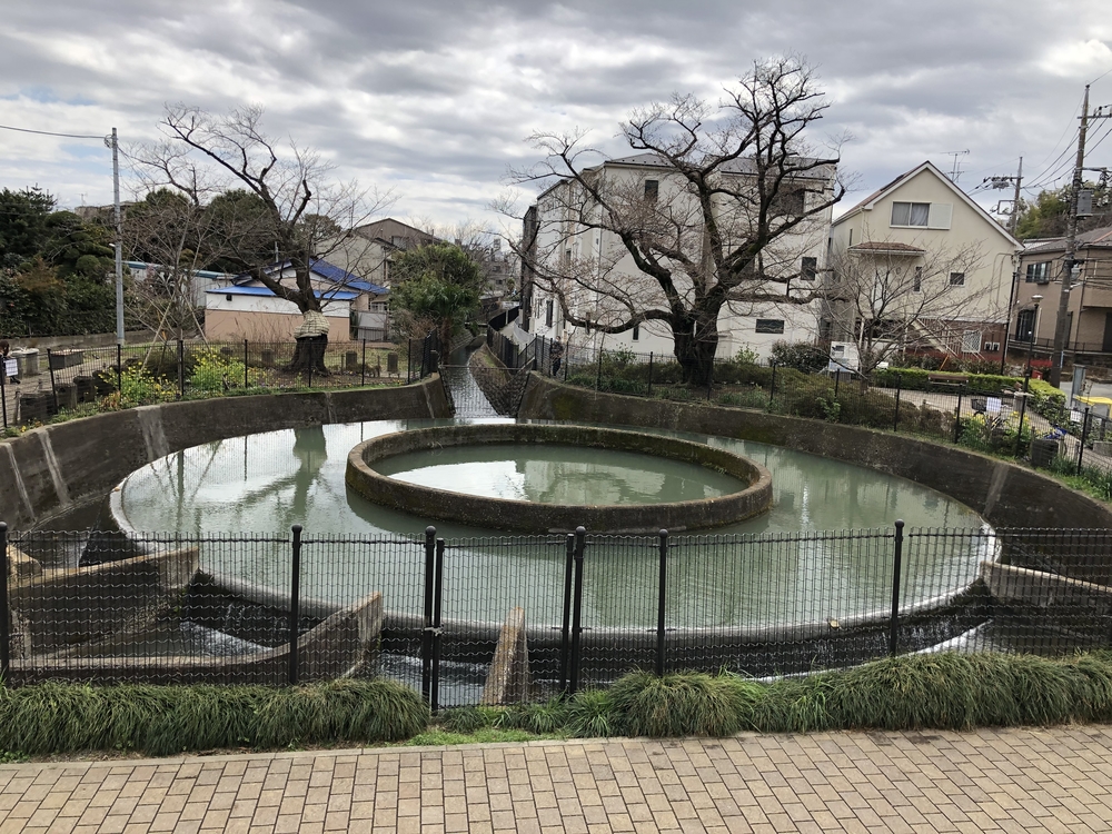 二ヶ領用水沿いまったりラン21キロの写真5