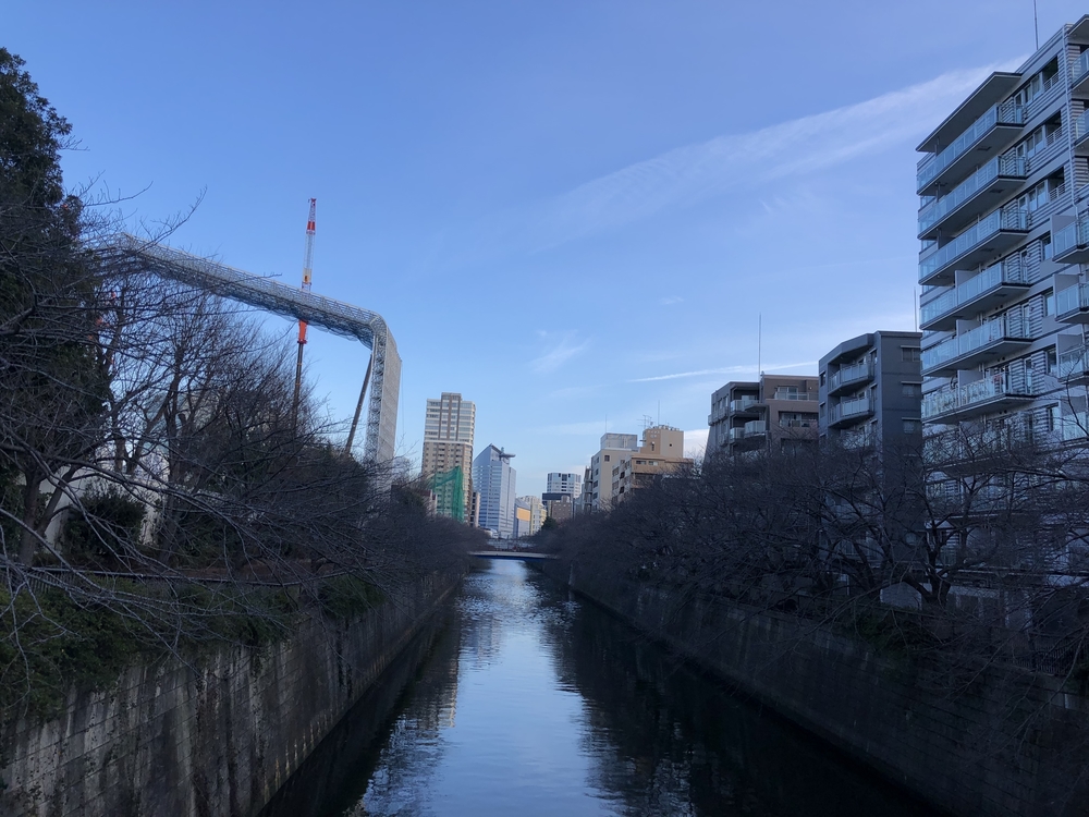 ★お絵描きラン（2）目黒川の🌸桜🌸【目黒近辺】の写真8