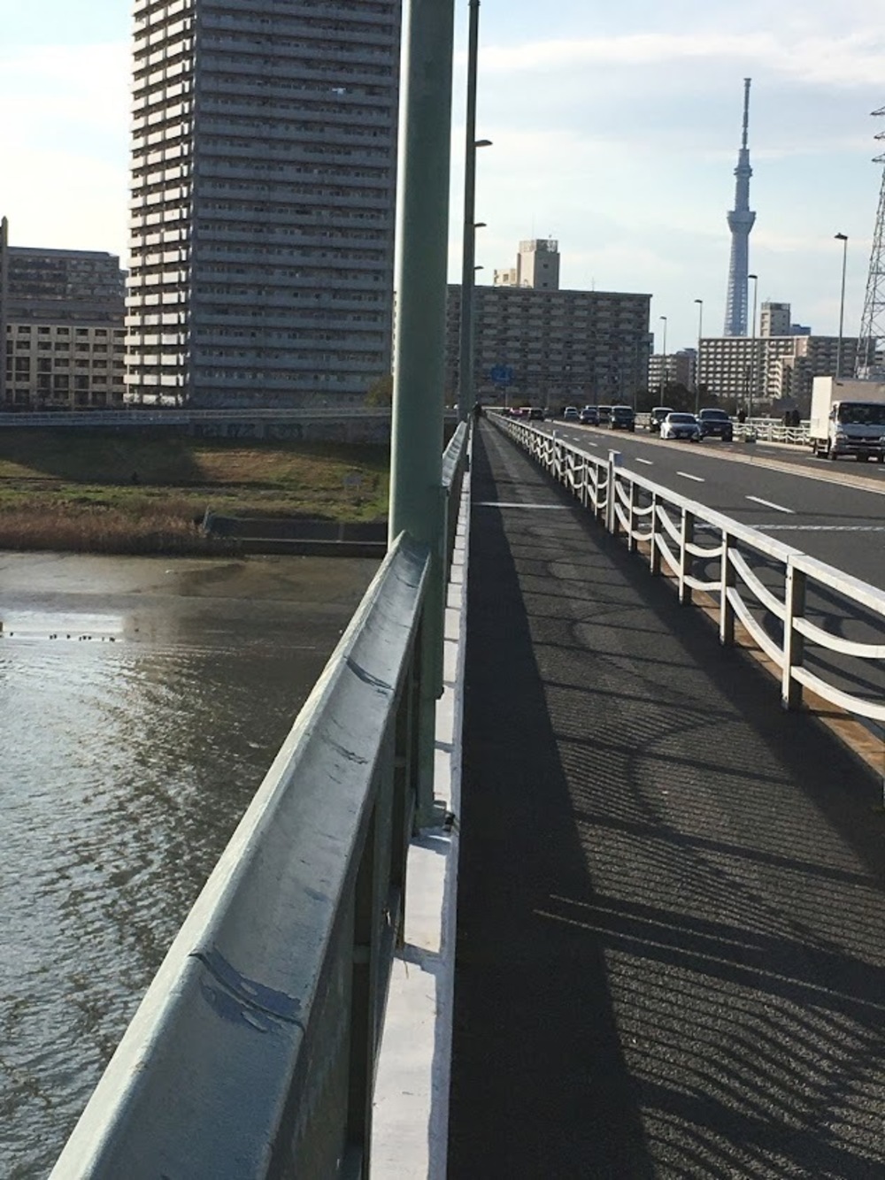 仙台堀・横十間親水公園リバーサイドrunの写真3