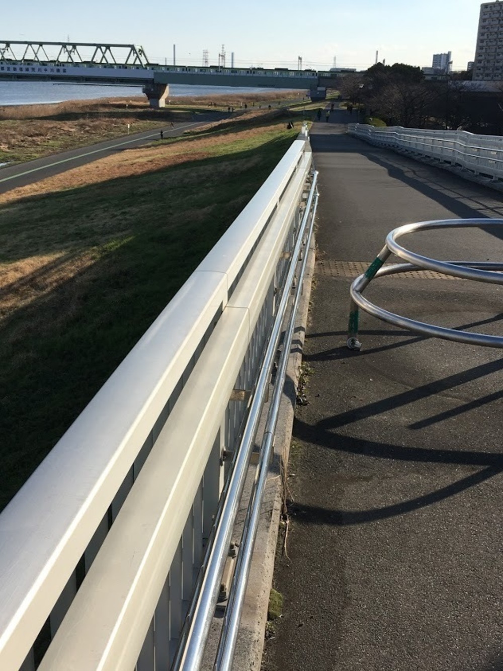 仙台堀・横十間親水公園リバーサイドrunの写真4