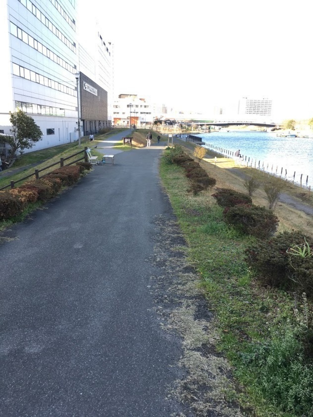 仙台堀・横十間親水公園リバーサイドrunの写真5