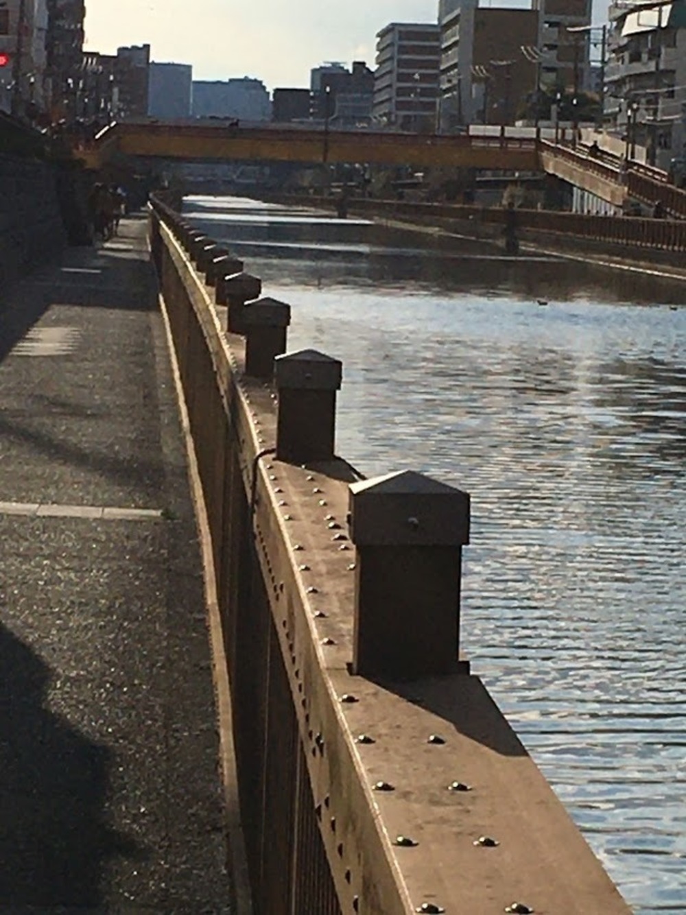 仙台堀・横十間親水公園リバーサイドrunの写真6