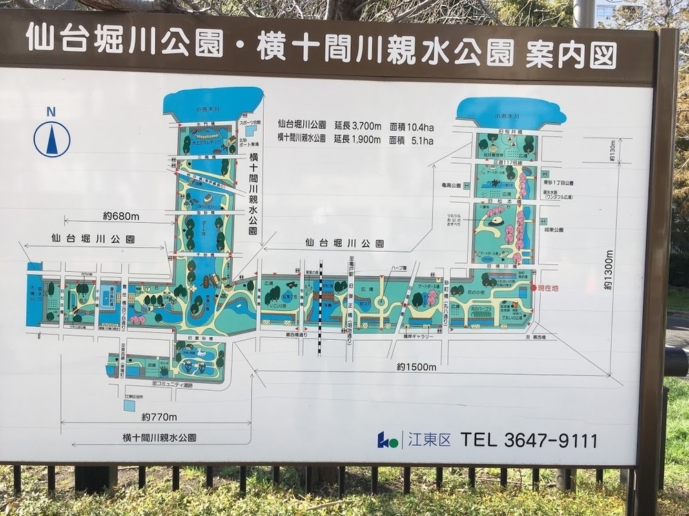 仙台堀・横十間親水公園リバーサイドrunの写真7