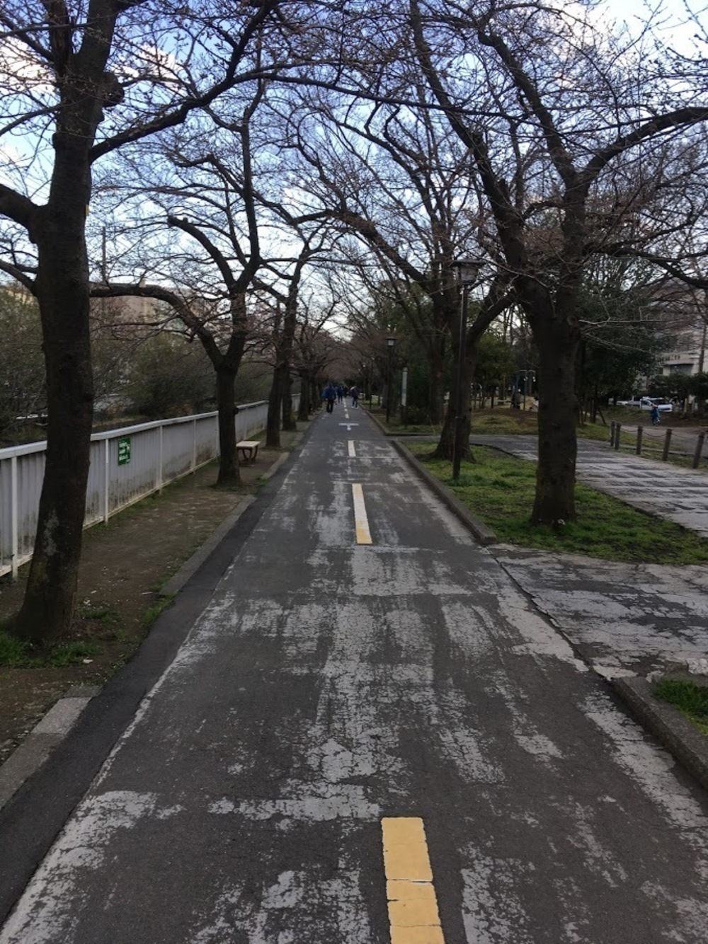 仙台堀・横十間親水公園リバーサイドrunの写真9