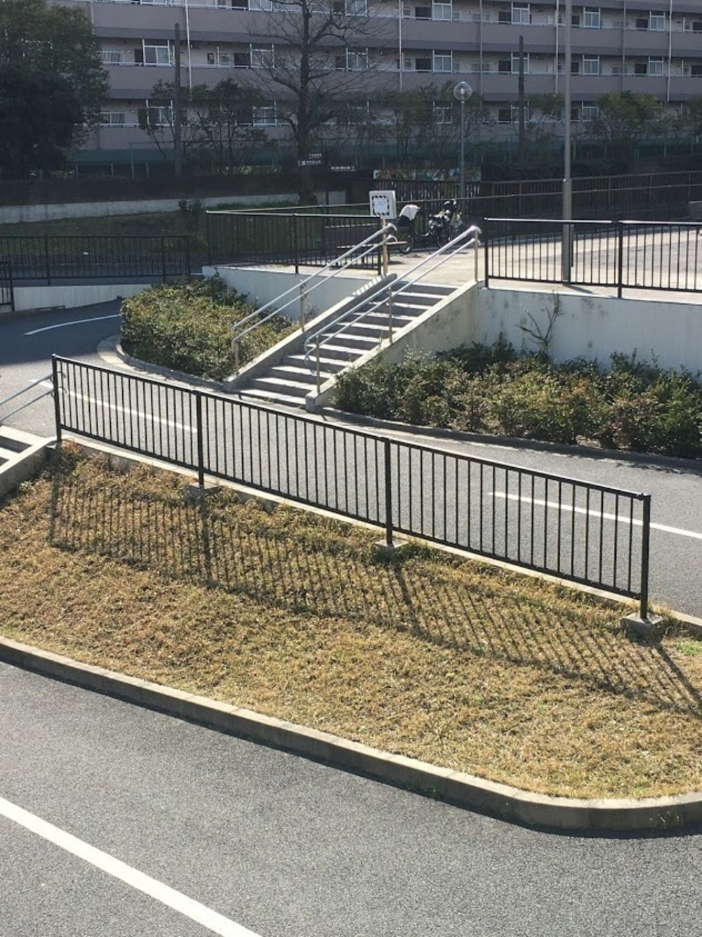 仙台堀・横十間親水公園リバーサイドrunの写真10