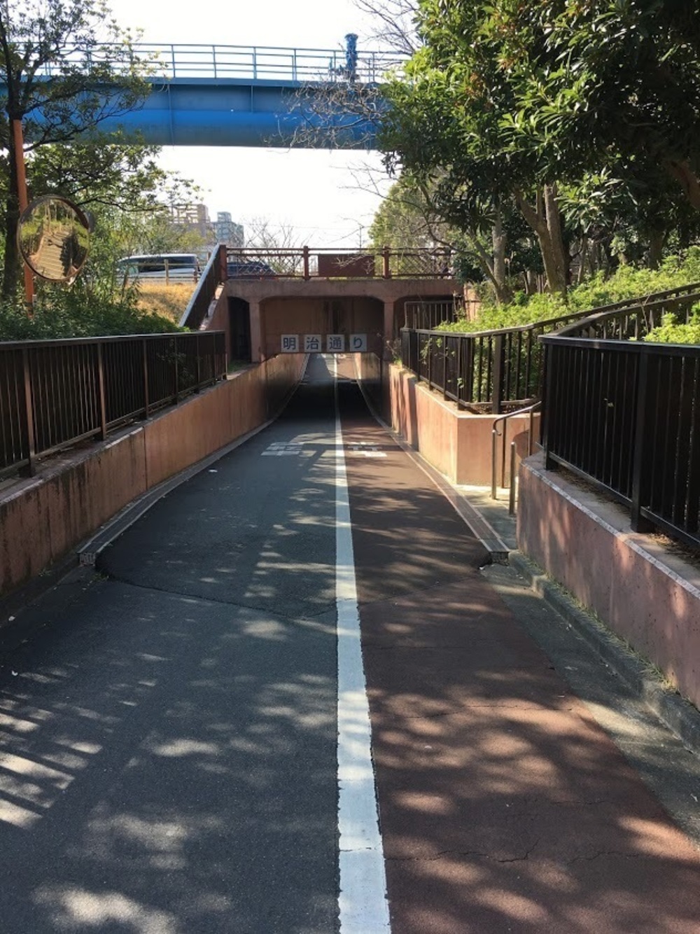 仙台堀・横十間親水公園リバーサイドrunの写真11