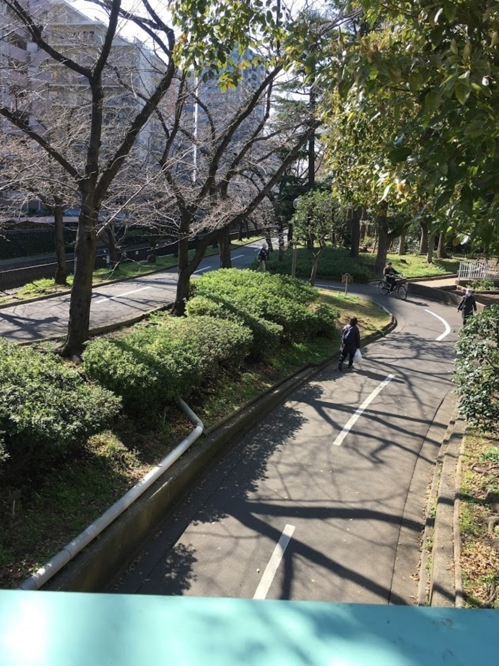 仙台堀・横十間親水公園リバーサイドrunの写真12