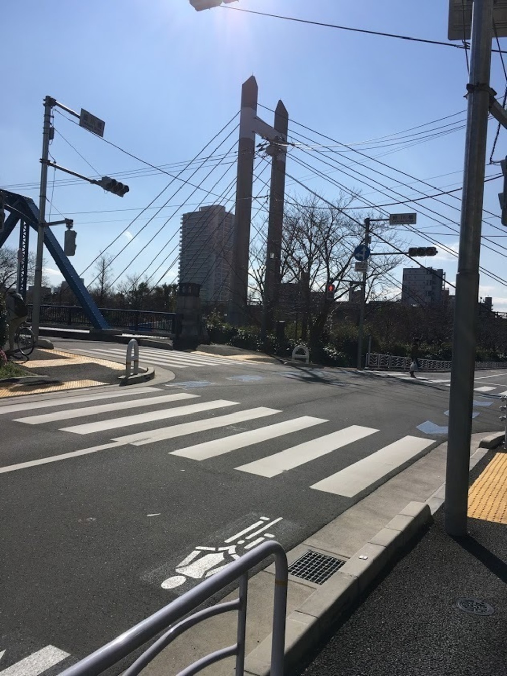 仙台堀・横十間親水公園リバーサイドrunの写真14