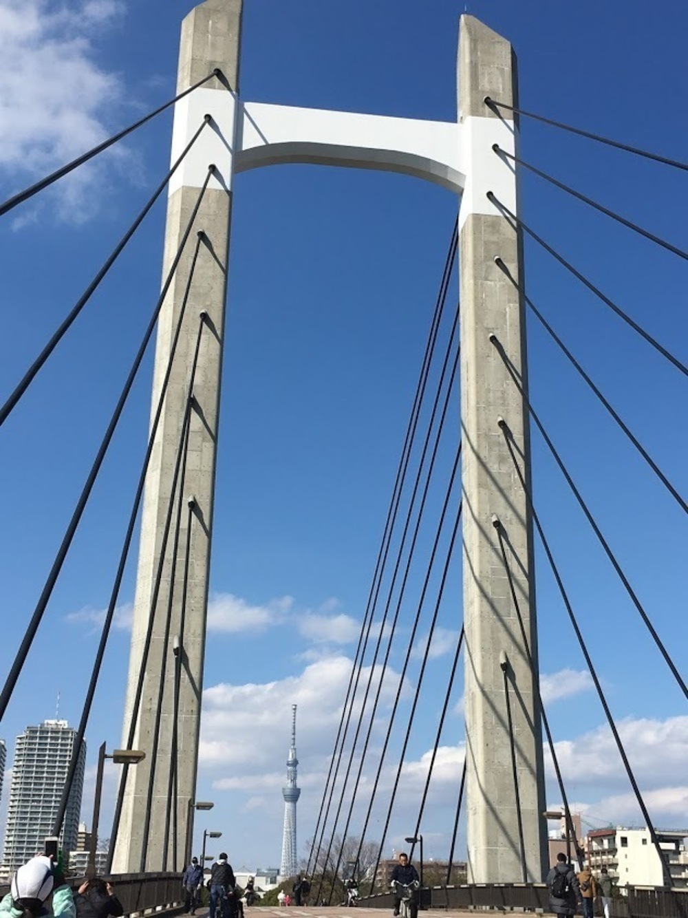 仙台堀・横十間親水公園リバーサイドrunの写真15