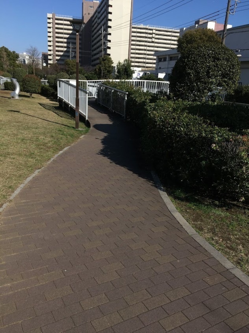 仙台堀・横十間親水公園リバーサイドrunの写真16