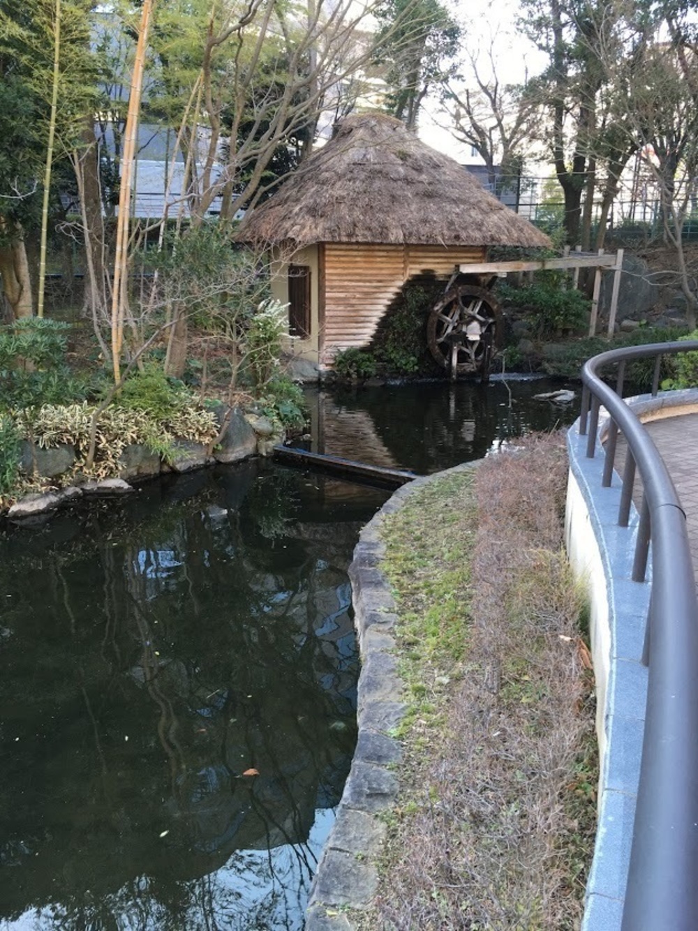 仙台堀・横十間親水公園リバーサイドrunの写真17