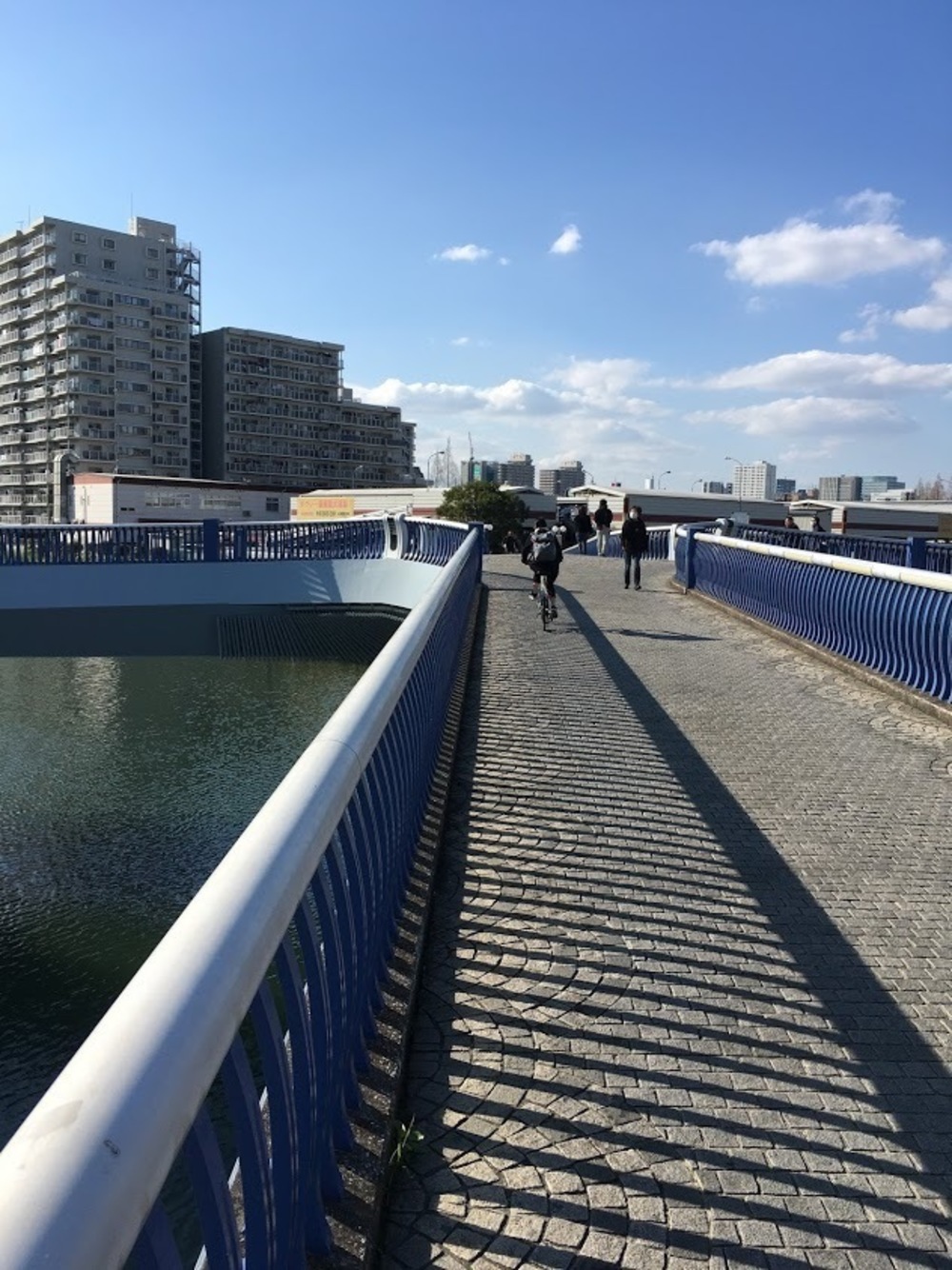 仙台堀・横十間親水公園リバーサイドrunの写真21