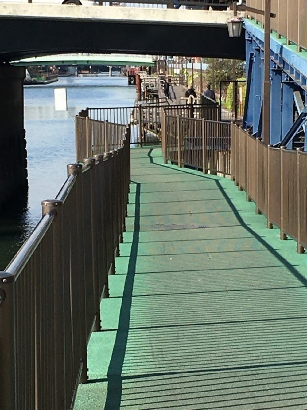 仙台堀・横十間親水公園リバーサイドrunの写真22