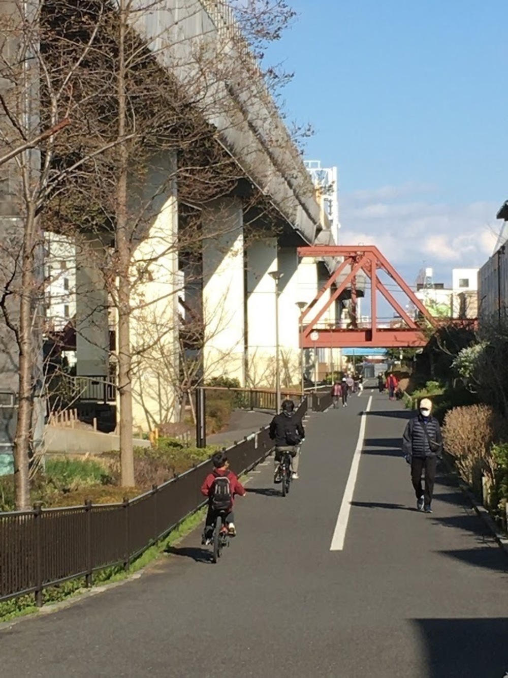 仙台堀・横十間親水公園リバーサイドrunの写真24