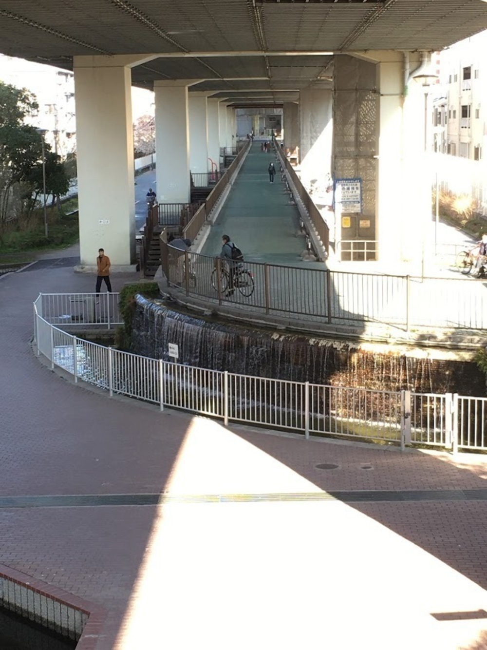 仙台堀・横十間親水公園リバーサイドrunの写真25