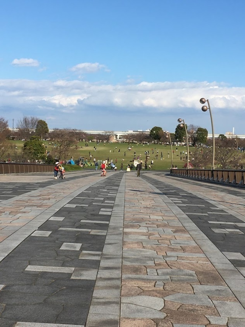 仙台堀・横十間親水公園リバーサイドrunの写真26