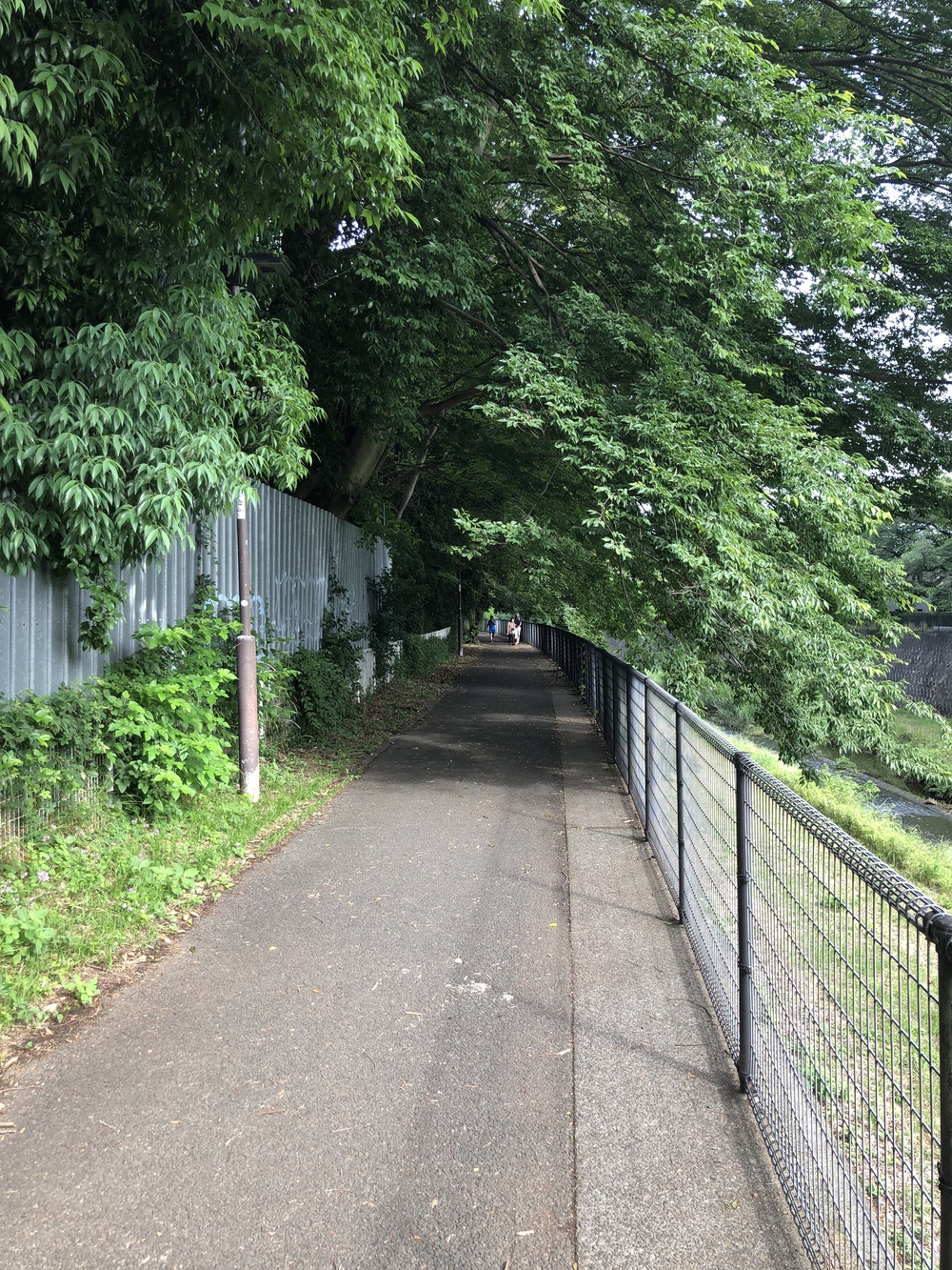 立川駅からハケ沿いを走り、銭湯、立ち飲みで締めるコースの写真4