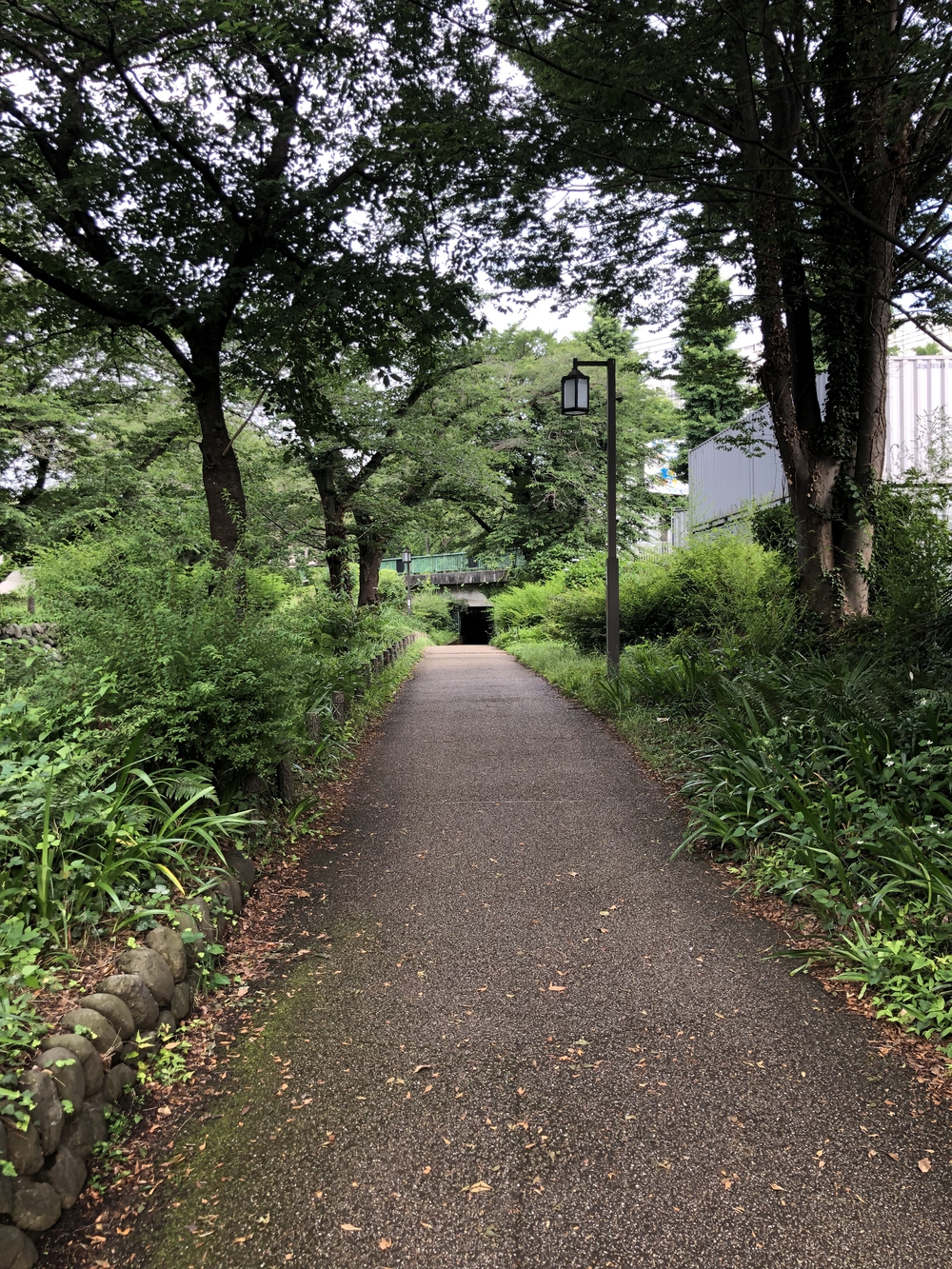 立川駅からハケ沿いを走り、銭湯、立ち飲みで締めるコースの写真7