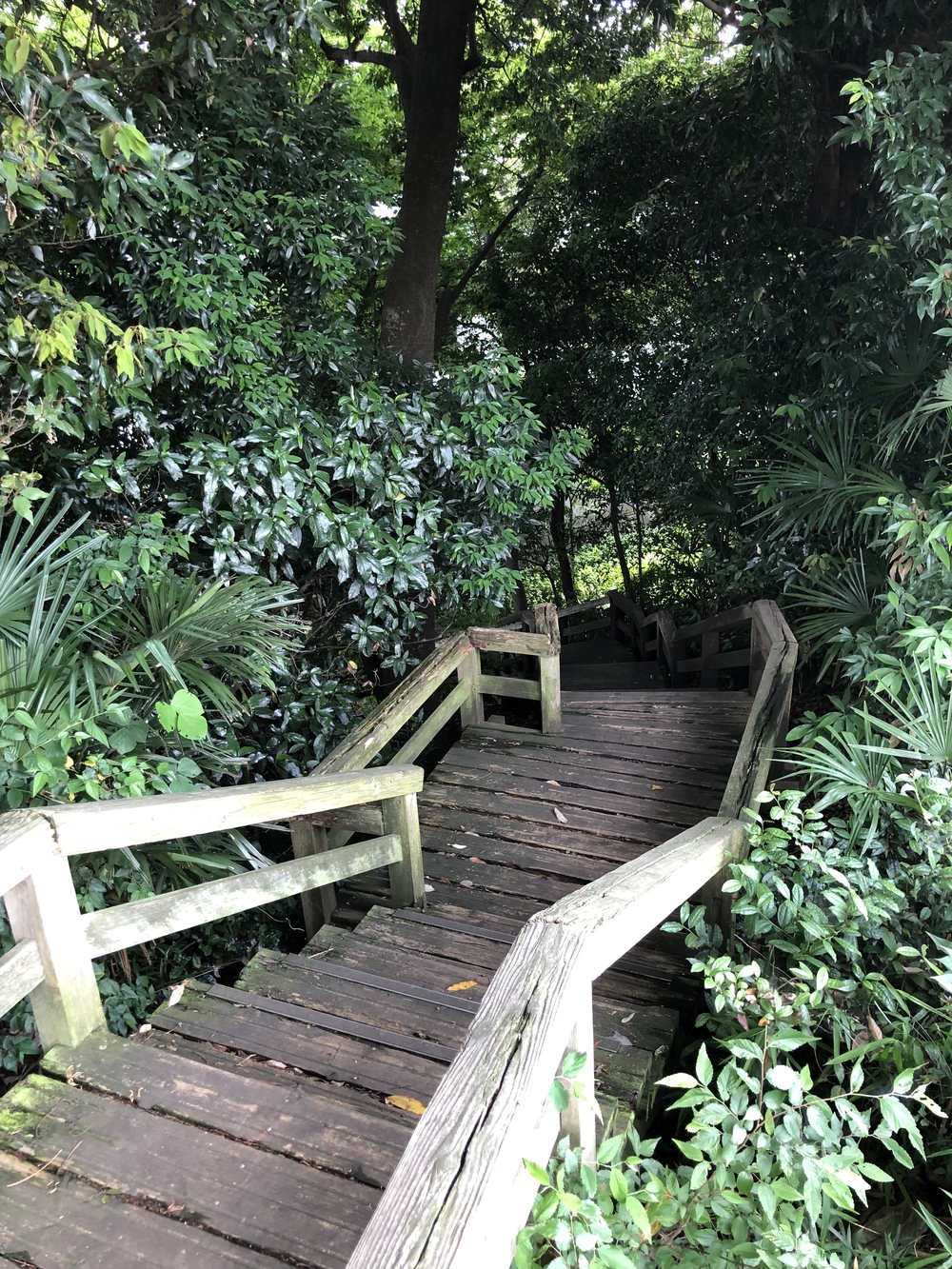 立川駅からハケ沿いを走り、銭湯、立ち飲みで締めるコースの写真9