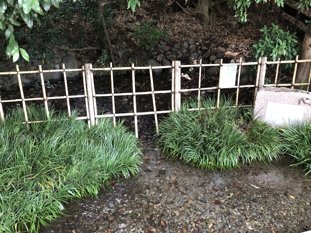 立川駅からハケ沿いを走り、銭湯、立ち飲みで締めるコースの写真10