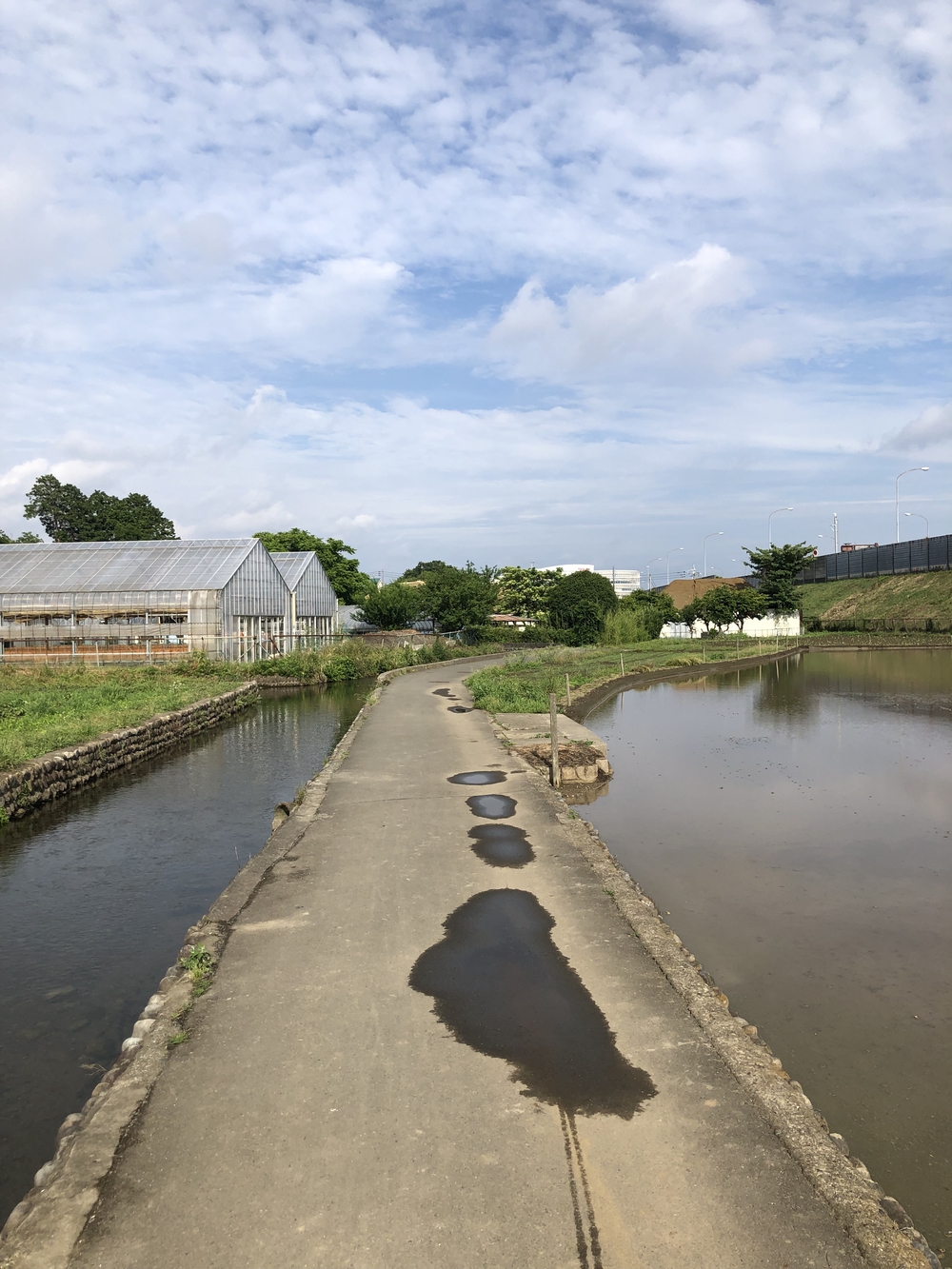 立川駅からハケ沿いを走り、銭湯、立ち飲みで締めるコースの写真11