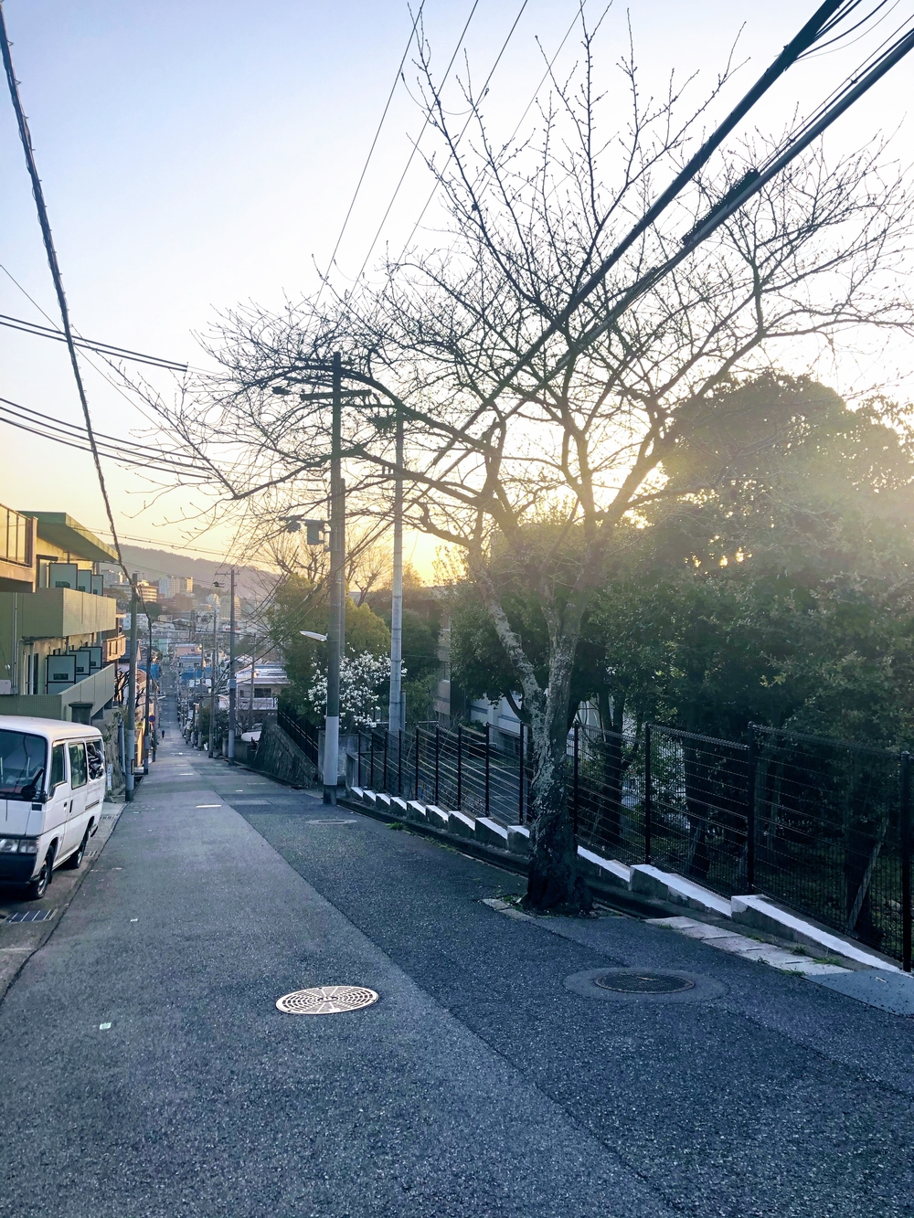 神戸灘区の桜満喫コース♪の写真3