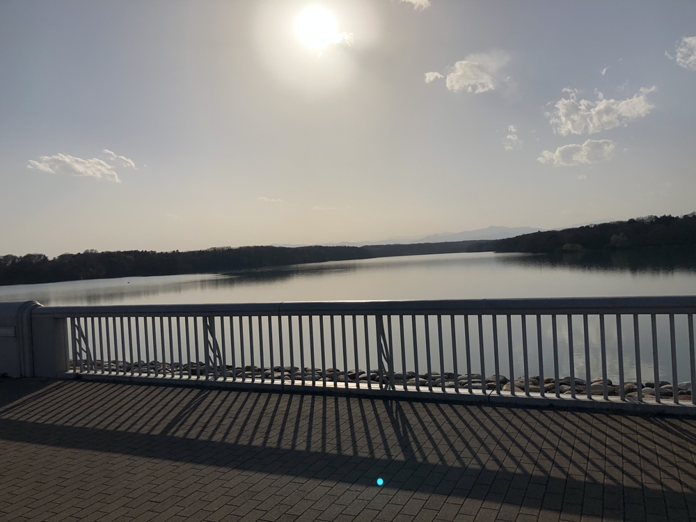 多摩湖自転車道→庚申湯の写真3